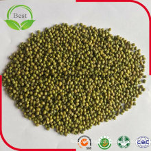 Cheap Price Dry Green Mung Beans